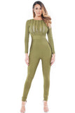 Olive Striped Sheer Top Jumpsuit